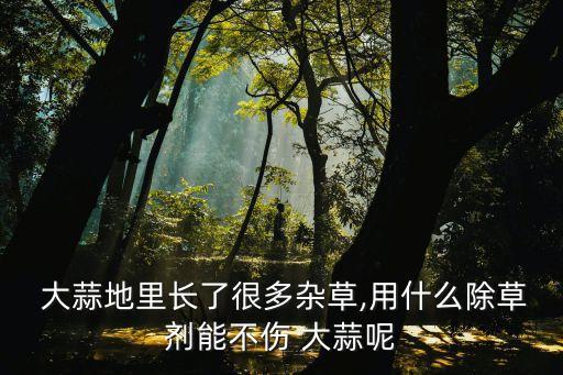  大蒜地里長了很多雜草,用什么除草劑能不傷 大蒜呢