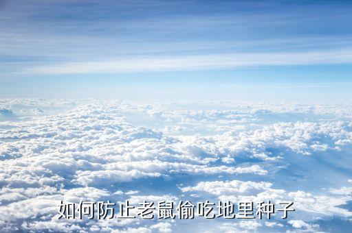如何防止老鼠偷吃地里種子