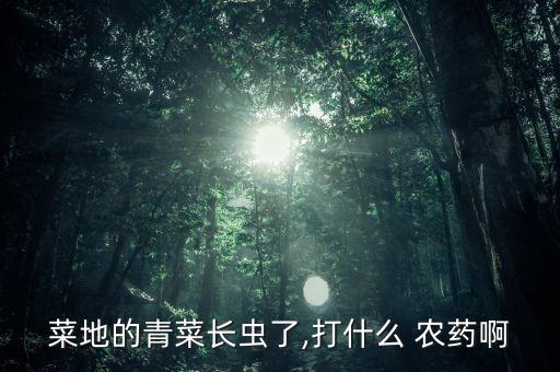 殺老鼠耳菜用什么農藥,老鼠耳菜叫什么名字