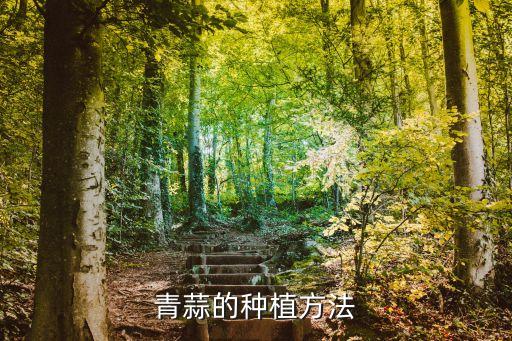 種蒜時需要什么農藥,什么菜需要大量的蒜