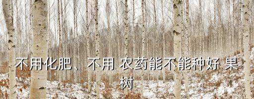 不用化肥、不用 農(nóng)藥能不能種好 果樹