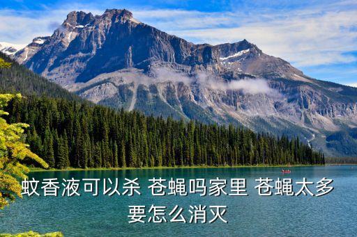 打什么農藥蒼蠅蚊子,蒼蠅和蚊子用什么呼吸