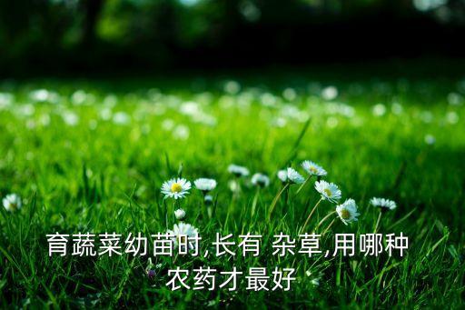 雜草配什么農藥,春季雜草用什么農藥效果好