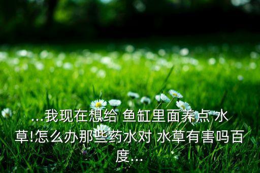 ...我現在想給 魚缸里面養點 水草!怎么辦那些藥水對 水草有害嗎百度...