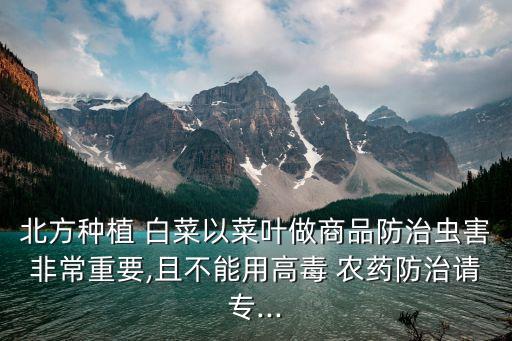 白菜禁用什么農(nóng)藥,白菜幼苗能打什么農(nóng)藥