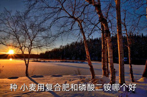 小麥壯苗用什么農藥,什么農藥能把小麥打死