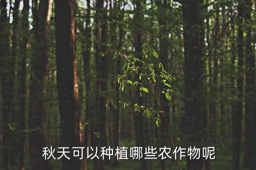  秋天可以種植哪些農(nóng)作物呢