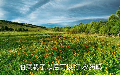  油菜栽了以后可以打 農藥嗎