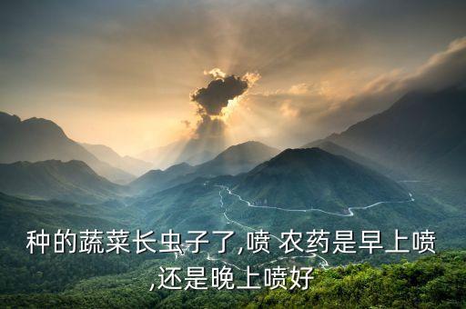 種的蔬菜長蟲子了,噴 農藥是早上噴,還是晚上噴好