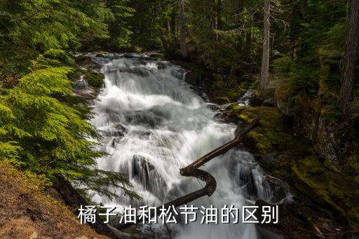 松樹油屬于什么農(nóng)藥,油松樹價格