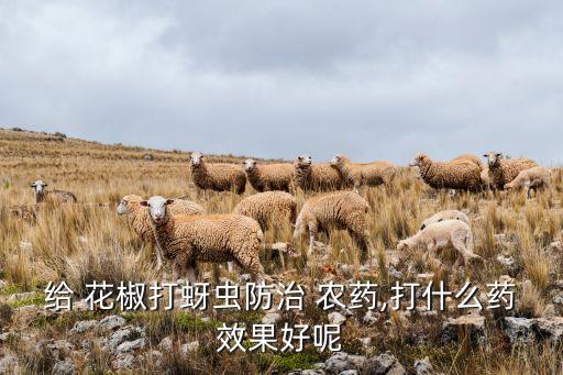 給 花椒打蚜蟲防治 農藥,打什么藥效果好呢