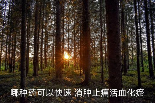 哪種藥可以快速 消腫止痛活血化瘀