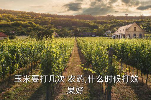 玉米用什么農藥能控旺,玉米一般打什么農藥