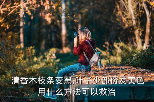  清香木枝條變黑,葉子少部份發(fā)黃色用什么方法可以救治