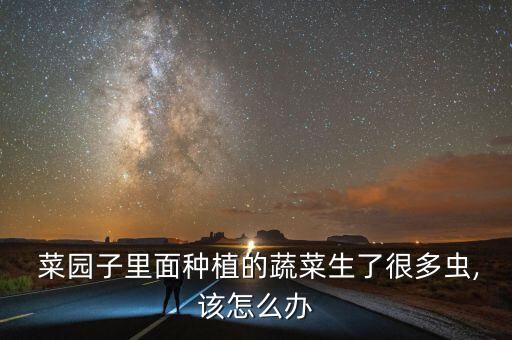 菜園有蜘蛛用什么農(nóng)藥,自家菜園用什么農(nóng)藥