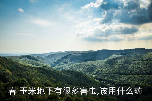 打玉米地用什么農藥,玉米地芽前封閉的農藥有哪些
