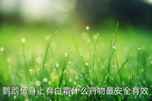 白點病用什么農藥好,蔥白點病打什么藥