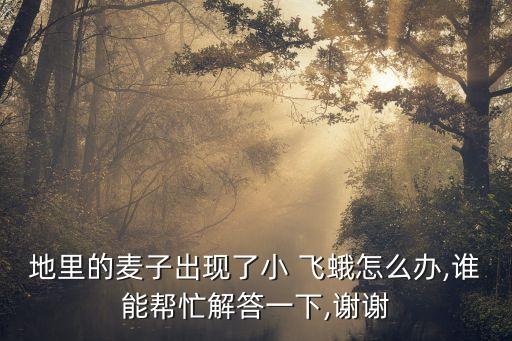 稻田飛蛾用什么農(nóng)藥,蝦稻田打什么農(nóng)藥