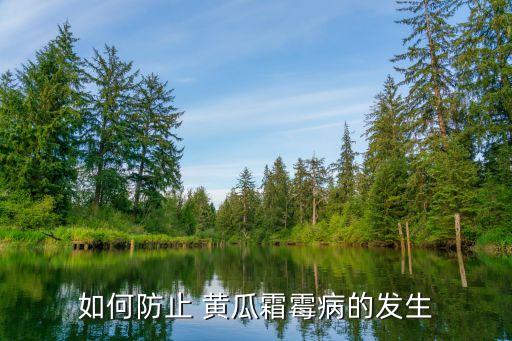 什么農藥有效防止黃瓜得病