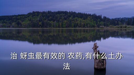 治 蚜蟲最有效的 農(nóng)藥,有什么土辦法
