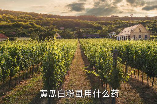 什么農藥對黃瓜病蟲有效,黃瓜灌根用什么農藥?