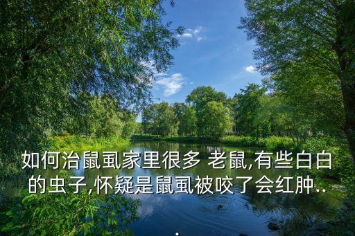 用什么農(nóng)藥能殺死老鼠虱,什么農(nóng)藥能大量殺死蒼蠅