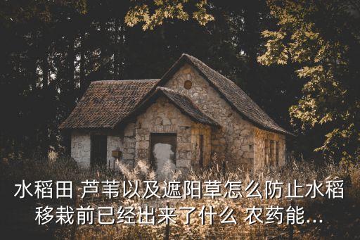 不打農藥根除蘆葦方法,什么農藥毒蘆葦