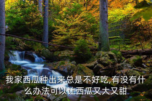 我家西瓜種出來總是不好吃,有沒有什么辦法可以讓西瓜又大又甜