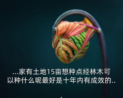 ...家有土地15畝想種點(diǎn)經(jīng)林木可以種什么呢最好是十年內(nèi)有成效的...