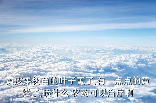 黃皮果樹(shù)苗的葉子黃了,有一點(diǎn)點(diǎn)的黃爛了,噴什么 農(nóng)藥可以治療啊