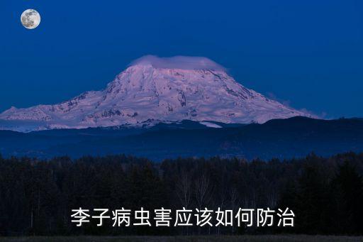  李子病蟲害應該如何防治