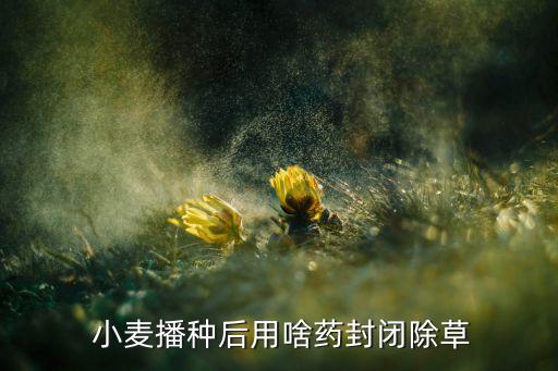 小麥發芽了還怕什么農藥,小麥春天最怕什么農藥