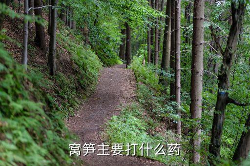 窩筍主要打什么藥