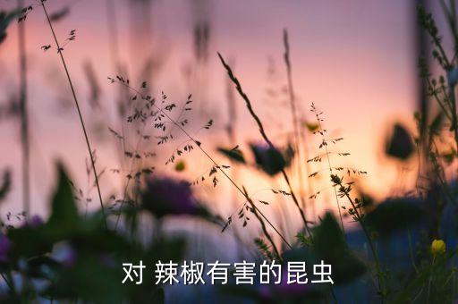 防治辣椒實蠅用什么農藥,辣椒有什么病蟲害如何防治