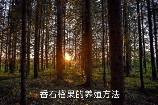 番石榴打什么農藥防治蟲害,打農藥屬于什么防治