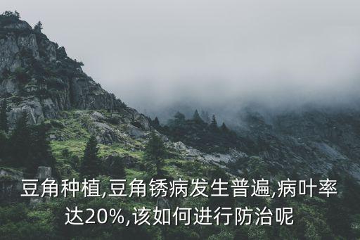 豆角種植,豆角銹病發生普遍,病葉率達20%,該如何進行防治呢