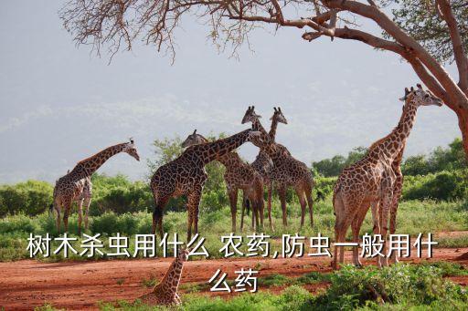 什么農藥治,吹綿蚧殼蟲用什么農藥治