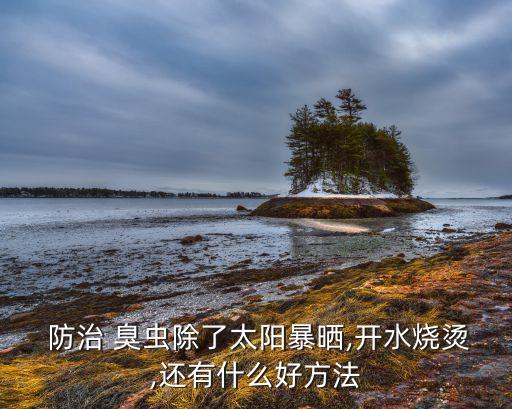  防治 臭蟲除了太陽暴曬,開水燒燙,還有什么好方法