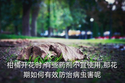 小金桔樹用什么農(nóng)藥防病,金桔打什么農(nóng)藥