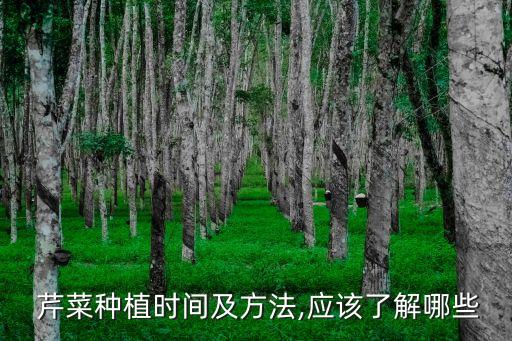 大棚芹菜什么時候打農藥,大棚種芹菜什么時候適合種