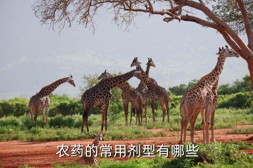 農藥勇護都什么成分使用