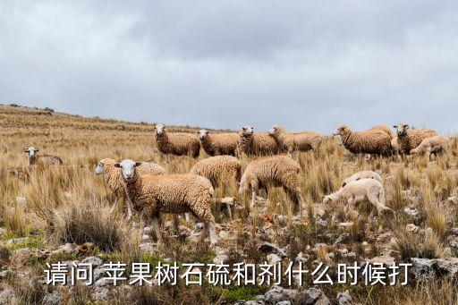 蘋果開花時打什么農藥,蘋果的開花期在什么季節