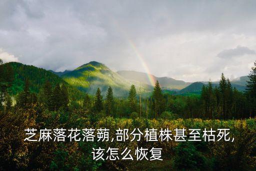 芝麻拌種用什么農藥,芝麻打什么農藥高產