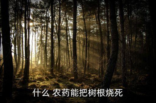 什么 農藥能把樹根燒死