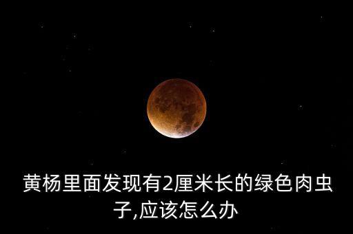 黃楊防蟲打什么農(nóng)藥,黃楊樹防蟲害施什么農(nóng)藥?