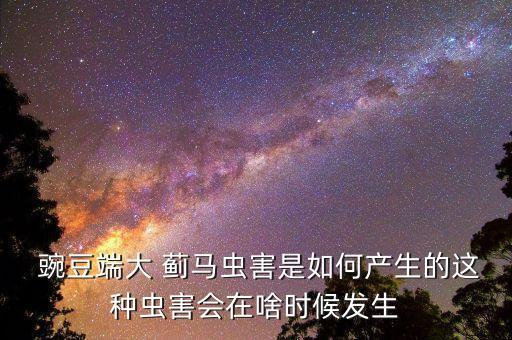  豌豆端大 薊馬蟲害是如何產生的這種蟲害會在啥時候發生