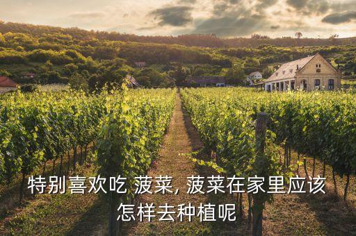 種菠菜打什么農藥,菠菜需要打農藥嗎