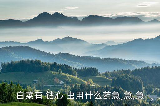 白菜有 鉆心 蟲用什么藥急,急,急