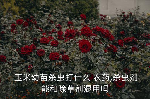  玉米幼苗殺蟲打什么 農藥,殺蟲劑能和除草劑混用嗎