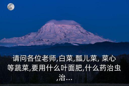 菜心噴什么農藥好,菜心蟲噴什么
